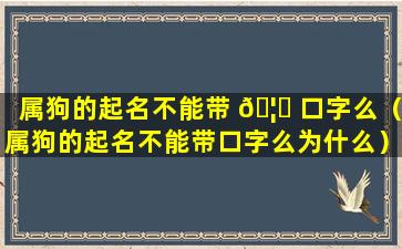 属狗的起名不能带 🦁 口字么（属狗的起名不能带口字么为什么）